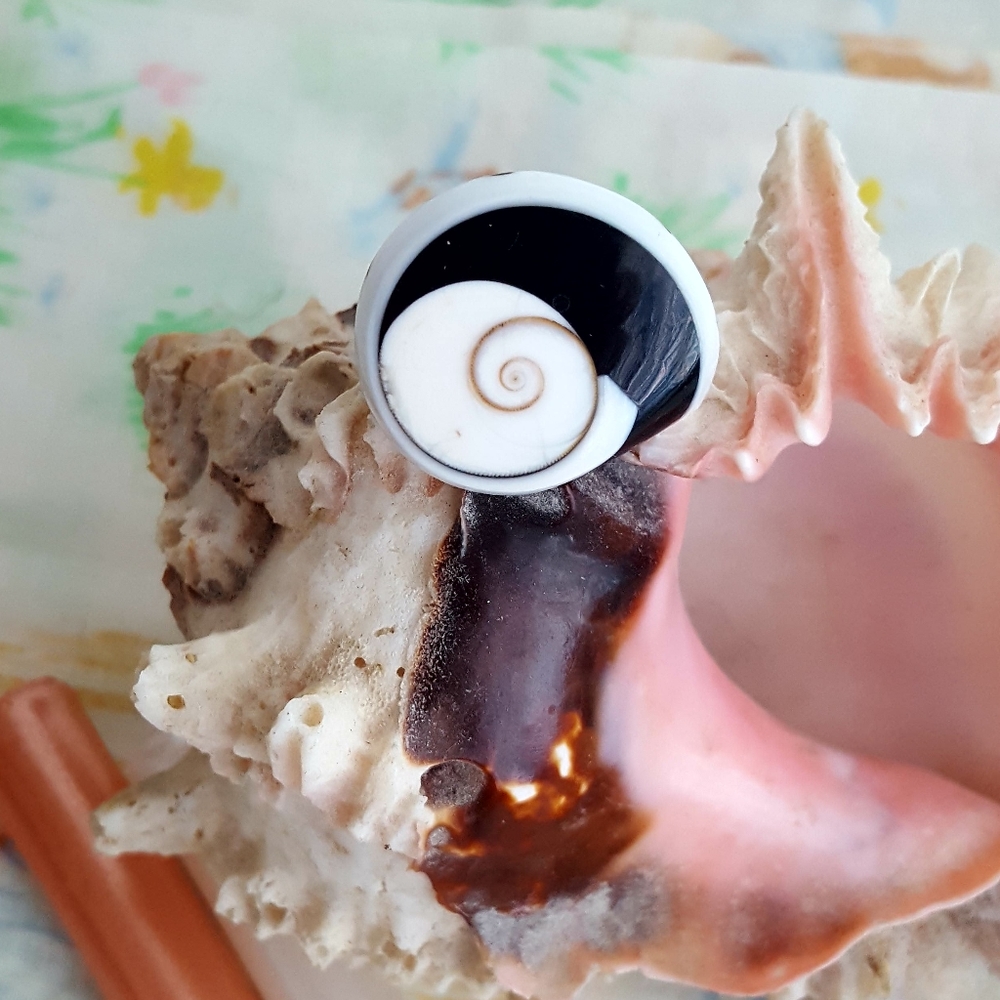 Natural Shell Ring - image 1